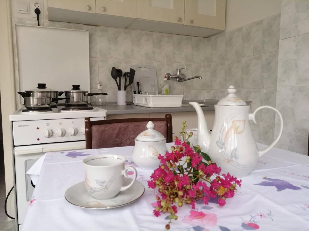 Apartman Nana ג'אגודינה מראה חיצוני תמונה
