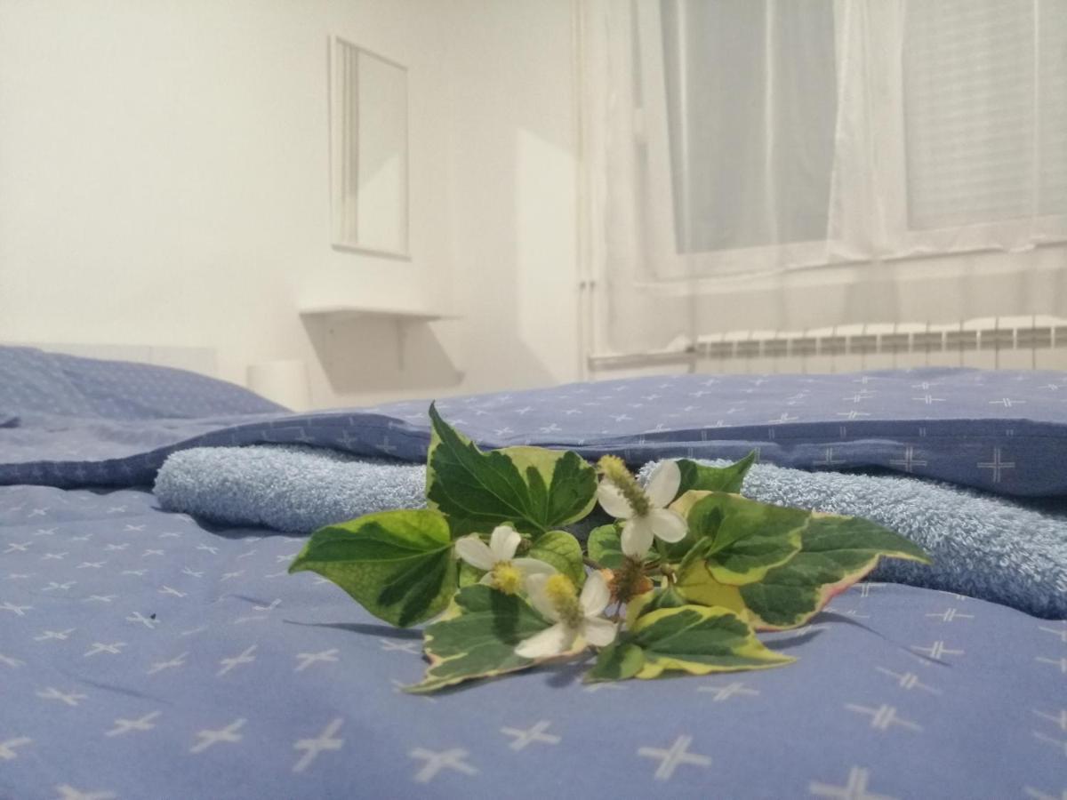 Apartman Nana ג'אגודינה מראה חיצוני תמונה