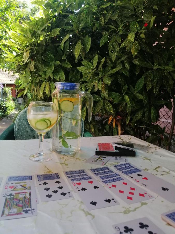 Apartman Nana ג'אגודינה מראה חיצוני תמונה